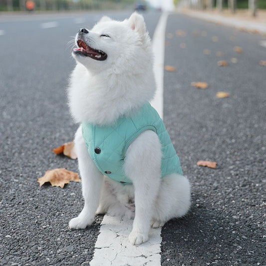 Padded Luxe Dog Vest - Green-1